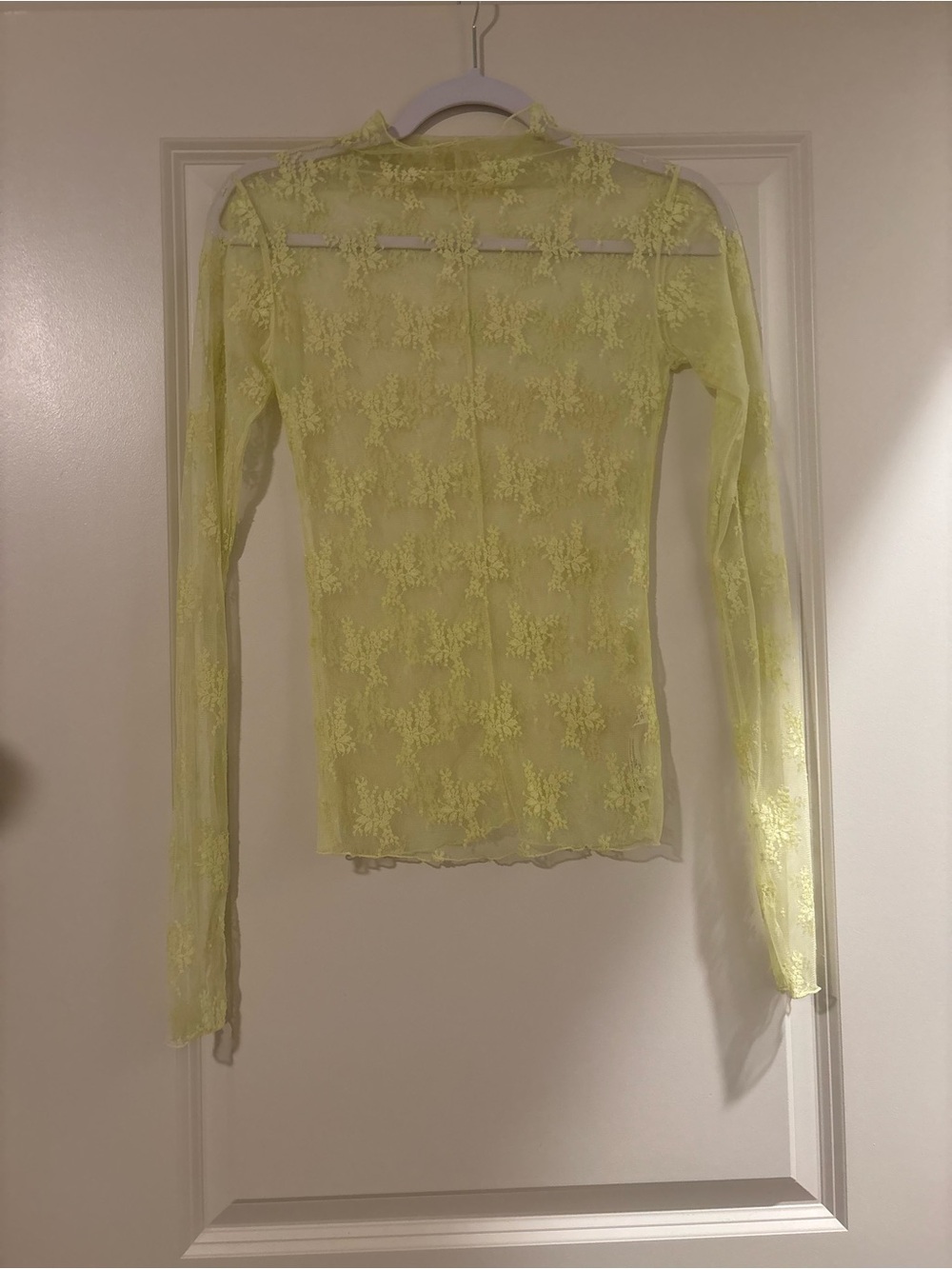 Sheer Lace Long-Sleeve Top in Light Green